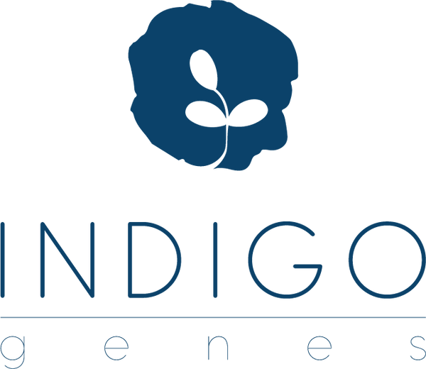 Indigo Genes