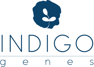 Indigo Genes